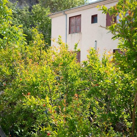 דירות Jasmine House By Panagia Of Petra מראה חיצוני תמונה